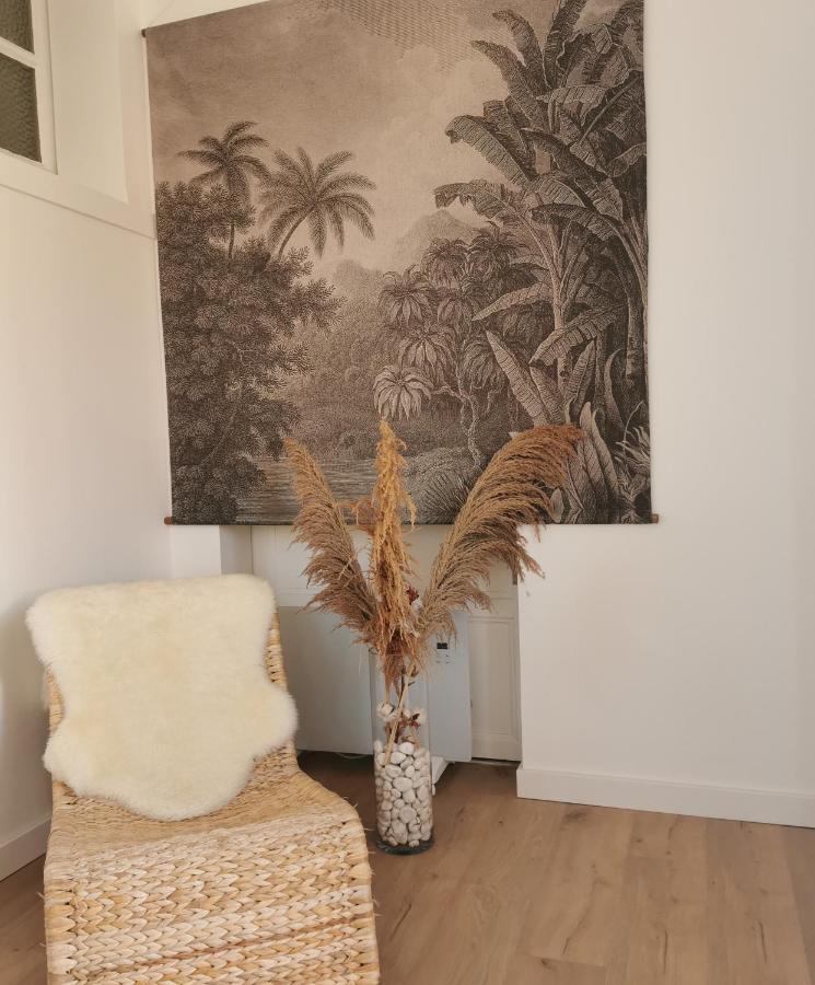 Le Studio Cosy - Labenne Buitenkant foto